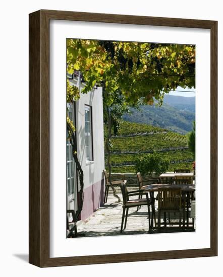 Quinta Nova De Nossa Senhora Do Carmo Estate in Northern Portugal in the Renowned Douro Valley-Camilla Watson-Framed Photographic Print