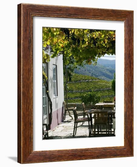 Quinta Nova De Nossa Senhora Do Carmo Estate in Northern Portugal in the Renowned Douro Valley-Camilla Watson-Framed Photographic Print