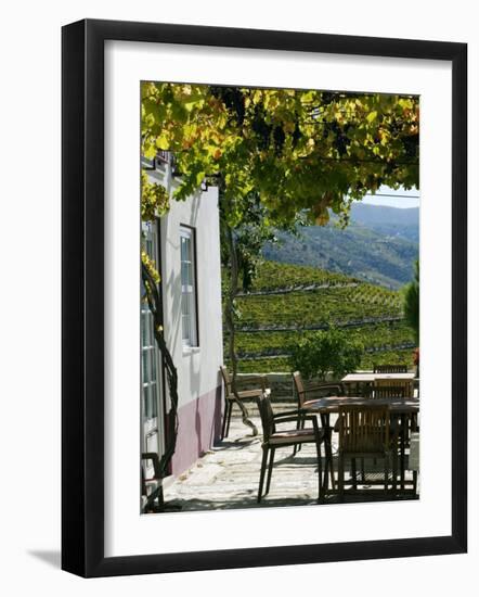 Quinta Nova De Nossa Senhora Do Carmo Estate in Northern Portugal in the Renowned Douro Valley-Camilla Watson-Framed Photographic Print