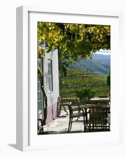 Quinta Nova De Nossa Senhora Do Carmo Estate in Northern Portugal in the Renowned Douro Valley-Camilla Watson-Framed Photographic Print