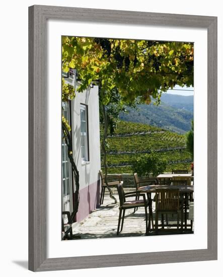 Quinta Nova De Nossa Senhora Do Carmo Estate in Northern Portugal in the Renowned Douro Valley-Camilla Watson-Framed Photographic Print