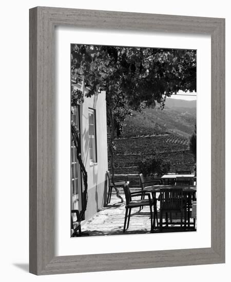 Quinta Nova De Nossa Senhora Do Carmo Estate in Northern Portugal in the Renowned Douro Valley-Camilla Watson-Framed Photographic Print