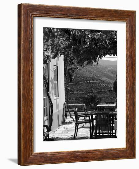 Quinta Nova De Nossa Senhora Do Carmo Estate in Northern Portugal in the Renowned Douro Valley-Camilla Watson-Framed Photographic Print