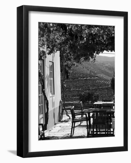 Quinta Nova De Nossa Senhora Do Carmo Estate in Northern Portugal in the Renowned Douro Valley-Camilla Watson-Framed Photographic Print