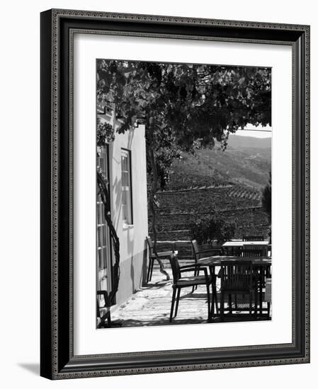 Quinta Nova De Nossa Senhora Do Carmo Estate in Northern Portugal in the Renowned Douro Valley-Camilla Watson-Framed Photographic Print