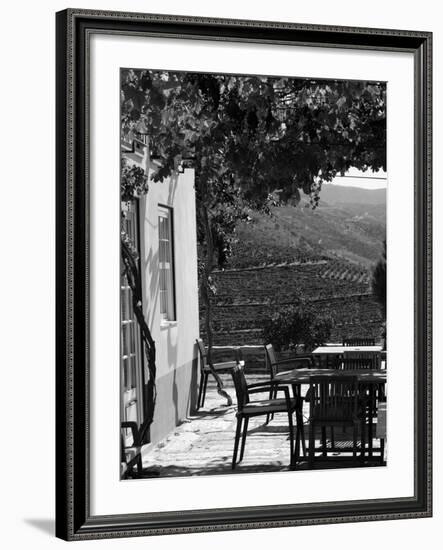 Quinta Nova De Nossa Senhora Do Carmo Estate in Northern Portugal in the Renowned Douro Valley-Camilla Watson-Framed Photographic Print