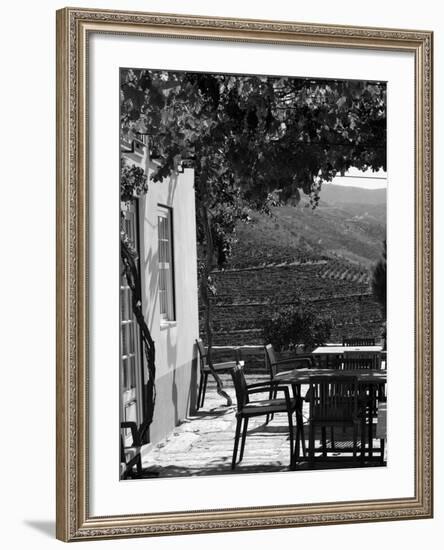 Quinta Nova De Nossa Senhora Do Carmo Estate in Northern Portugal in the Renowned Douro Valley-Camilla Watson-Framed Photographic Print