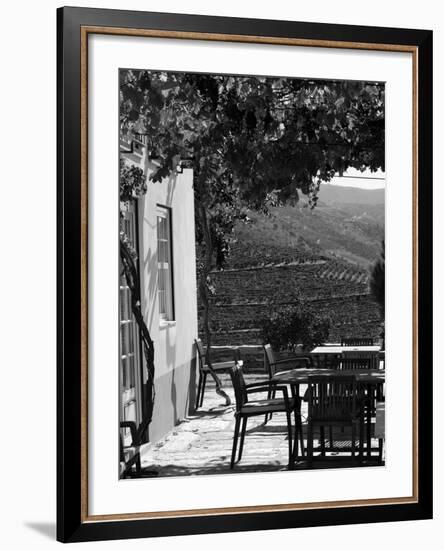 Quinta Nova De Nossa Senhora Do Carmo Estate in Northern Portugal in the Renowned Douro Valley-Camilla Watson-Framed Photographic Print