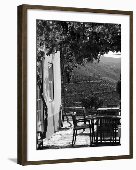 Quinta Nova De Nossa Senhora Do Carmo Estate in Northern Portugal in the Renowned Douro Valley-Camilla Watson-Framed Photographic Print