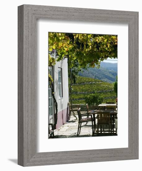 Quinta Nova De Nossa Senhora Do Carmo Estate in Northern Portugal in the Renowned Douro Valley-Camilla Watson-Framed Photographic Print