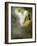 Quipe-Lynne Davies-Framed Photographic Print