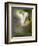 Quipe-Lynne Davies-Framed Photographic Print