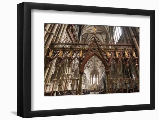 Quire Seen Through the Skidmore Screen, Lichfield Cathedral, Staffordshire, England, United Kingdom-Nick Servian-Framed Photographic Print