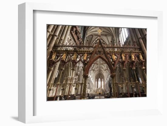 Quire Seen Through the Skidmore Screen, Lichfield Cathedral, Staffordshire, England, United Kingdom-Nick Servian-Framed Photographic Print