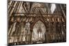Quire Seen Through the Skidmore Screen, Lichfield Cathedral, Staffordshire, England, United Kingdom-Nick Servian-Mounted Photographic Print