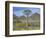 Quiver Tree (Aloe Dichotoma), Goegap Nature Reserve, Namaqualand, South Africa, Africa-Steve & Ann Toon-Framed Photographic Print