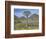 Quiver Tree (Aloe Dichotoma), Goegap Nature Reserve, Namaqualand, South Africa, Africa-Steve & Ann Toon-Framed Photographic Print