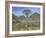 Quiver Tree (Aloe Dichotoma), Goegap Nature Reserve, Namaqualand, South Africa, Africa-Steve & Ann Toon-Framed Photographic Print