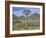 Quiver Tree (Aloe Dichotoma), Goegap Nature Reserve, Namaqualand, South Africa, Africa-Steve & Ann Toon-Framed Photographic Print