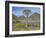 Quiver Tree (Aloe Dichotoma), Goegap Nature Reserve, Namaqualand, South Africa, Africa-Steve & Ann Toon-Framed Photographic Print