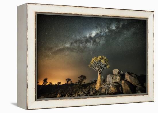Quiver Tree (Aloe Dichotoma) with the Milky Way at Night-Wim van den Heever-Framed Premier Image Canvas