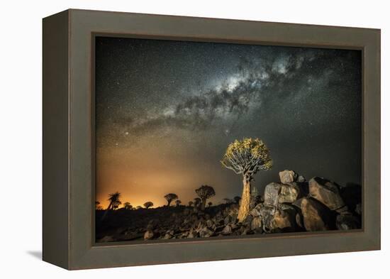 Quiver Tree (Aloe Dichotoma) with the Milky Way at Night-Wim van den Heever-Framed Premier Image Canvas