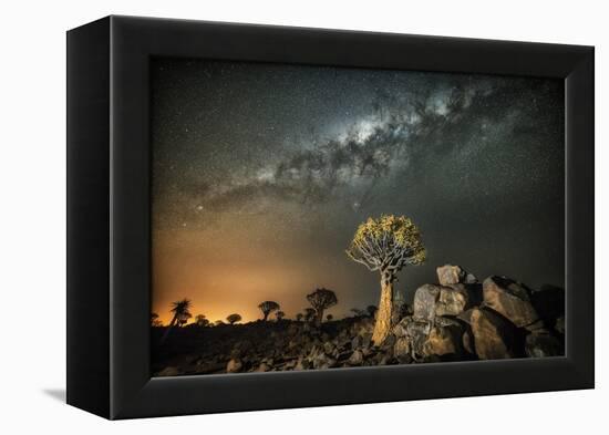 Quiver Tree (Aloe Dichotoma) with the Milky Way at Night-Wim van den Heever-Framed Premier Image Canvas