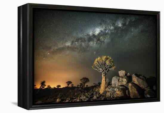 Quiver Tree (Aloe Dichotoma) with the Milky Way at Night-Wim van den Heever-Framed Premier Image Canvas