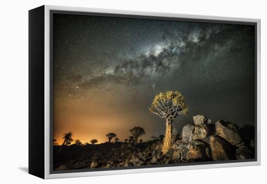 Quiver Tree (Aloe Dichotoma) with the Milky Way at Night-Wim van den Heever-Framed Premier Image Canvas