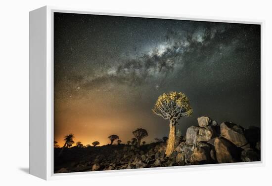 Quiver Tree (Aloe Dichotoma) with the Milky Way at Night-Wim van den Heever-Framed Premier Image Canvas