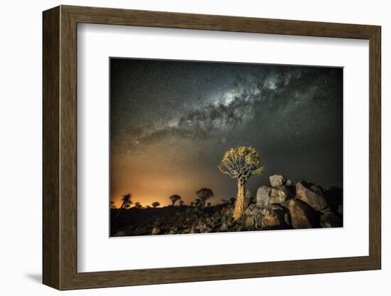 Quiver Tree (Aloe Dichotoma) with the Milky Way at Night-Wim van den Heever-Framed Photographic Print