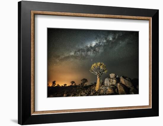 Quiver Tree (Aloe Dichotoma) with the Milky Way at Night-Wim van den Heever-Framed Photographic Print