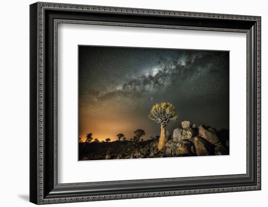 Quiver Tree (Aloe Dichotoma) with the Milky Way at Night-Wim van den Heever-Framed Photographic Print
