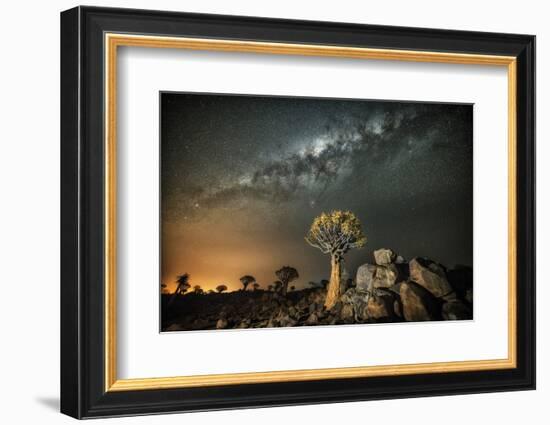 Quiver Tree (Aloe Dichotoma) with the Milky Way at Night-Wim van den Heever-Framed Photographic Print