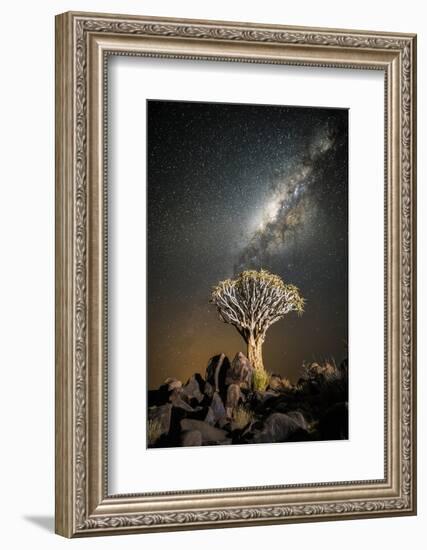 Quiver Tree (Aloe Dichotoma) with the Milky Way at Night-Wim van den Heever-Framed Photographic Print