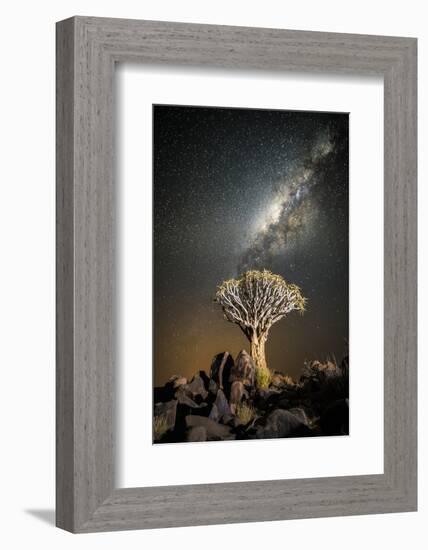 Quiver Tree (Aloe Dichotoma) with the Milky Way at Night-Wim van den Heever-Framed Photographic Print