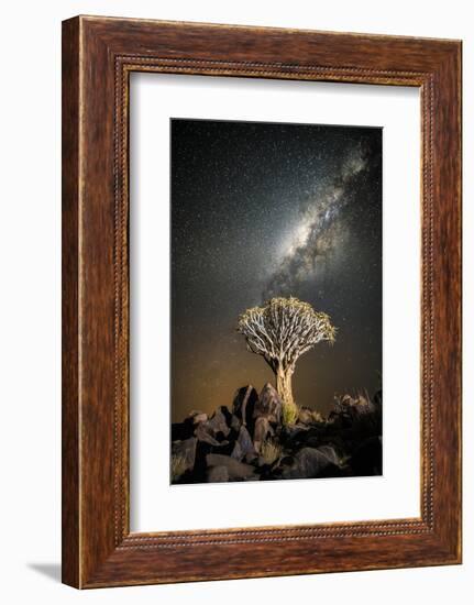 Quiver Tree (Aloe Dichotoma) with the Milky Way at Night-Wim van den Heever-Framed Photographic Print