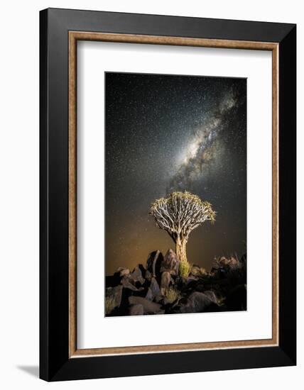 Quiver Tree (Aloe Dichotoma) with the Milky Way at Night-Wim van den Heever-Framed Photographic Print