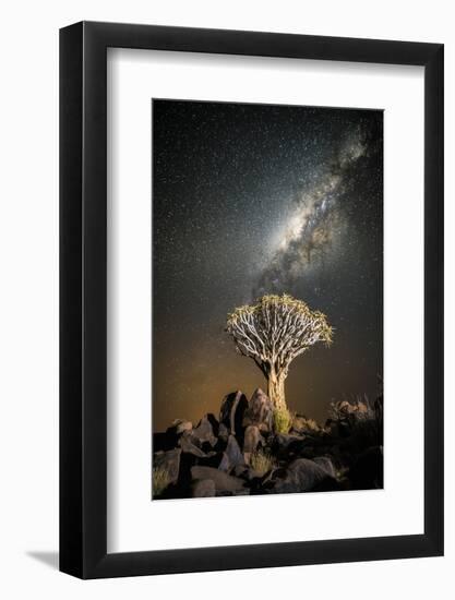 Quiver Tree (Aloe Dichotoma) with the Milky Way at Night-Wim van den Heever-Framed Photographic Print