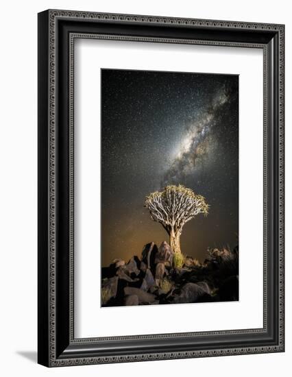 Quiver Tree (Aloe Dichotoma) with the Milky Way at Night-Wim van den Heever-Framed Photographic Print