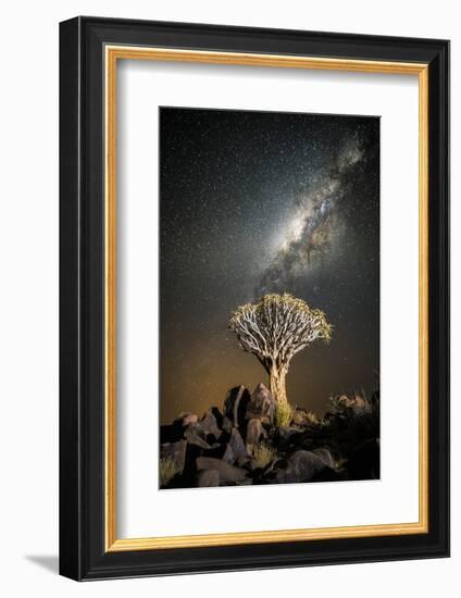 Quiver Tree (Aloe Dichotoma) with the Milky Way at Night-Wim van den Heever-Framed Photographic Print