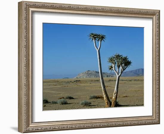 Quiver Tree and Bloodkopje Northern Section of Park-Mark Hannaford-Framed Photographic Print
