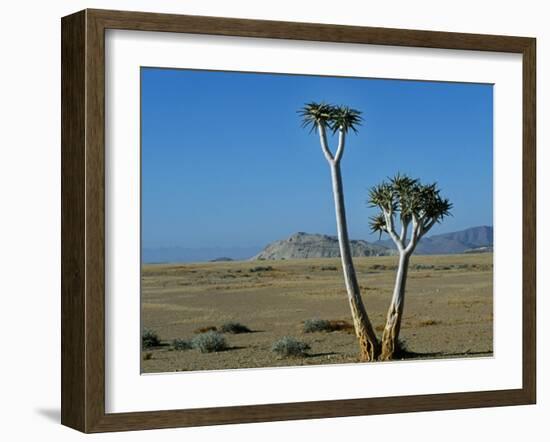 Quiver Tree and Bloodkopje Northern Section of Park-Mark Hannaford-Framed Photographic Print