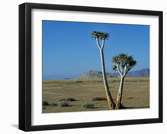 Quiver Tree and Bloodkopje Northern Section of Park-Mark Hannaford-Framed Photographic Print