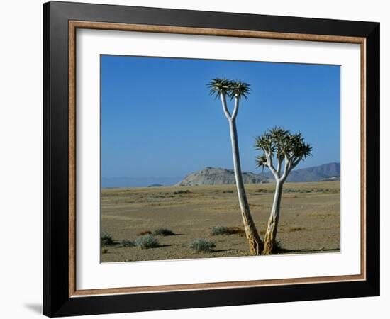 Quiver Tree and Bloodkopje Northern Section of Park-Mark Hannaford-Framed Photographic Print