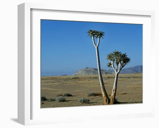 Quiver Tree and Bloodkopje Northern Section of Park-Mark Hannaford-Framed Photographic Print