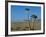 Quiver Tree and Bloodkopje Northern Section of Park-Mark Hannaford-Framed Photographic Print