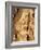 Quiver Tree Bark, Quiver Tree Forest, Keetmanshoop, Namibia, Africa-Ann & Steve Toon-Framed Photographic Print