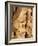 Quiver Tree Bark, Quiver Tree Forest, Keetmanshoop, Namibia, Africa-Ann & Steve Toon-Framed Photographic Print