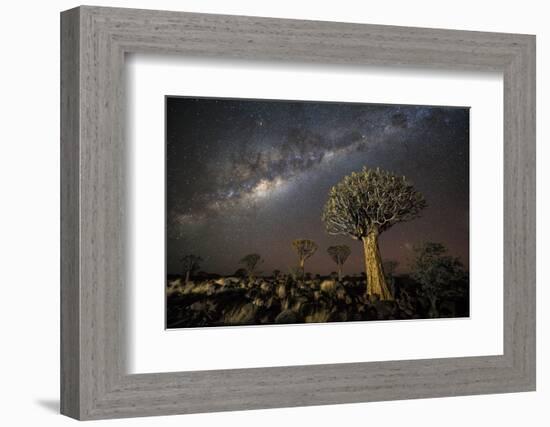 Quiver Tree Forest (Aloe Dichotoma) at Night with Stars and the Milky Way, Keetmanshoop, Namibia-Wim van den Heever-Framed Photographic Print